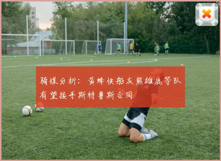 骑媒分析：黄蜂快船灰熊雄鹿等队有望接手斯特鲁斯合同